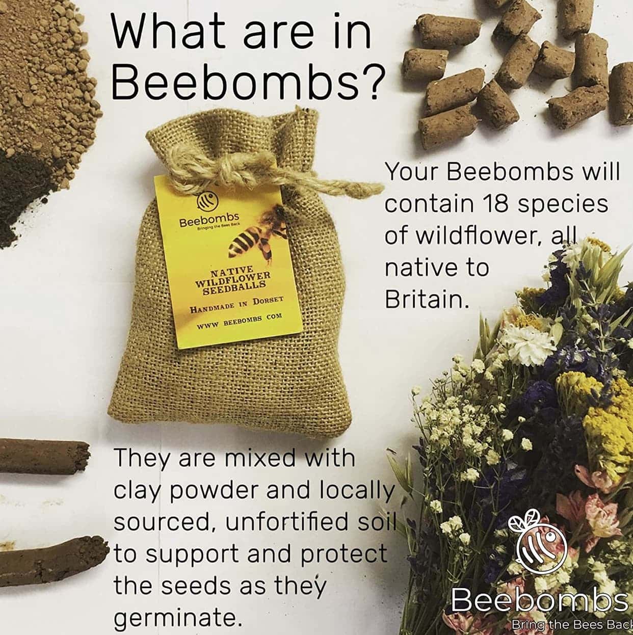 Official Beebombs Wild Flower Seeds UK Native Mix